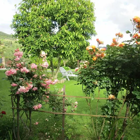 Casa Di Tiziano Casa vacanze